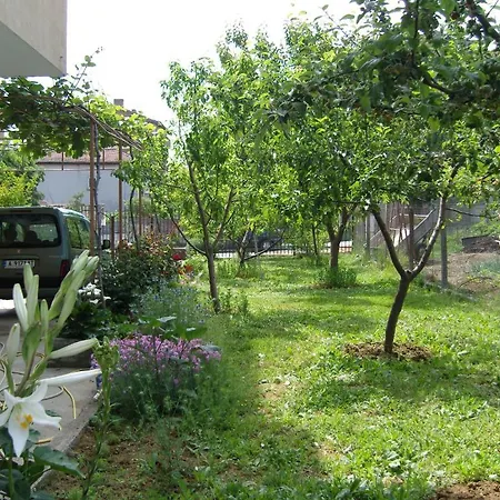 Kirovi House - Guest Țarevo